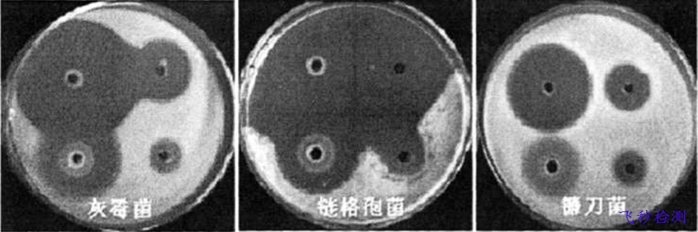 消毒液成分分析检测